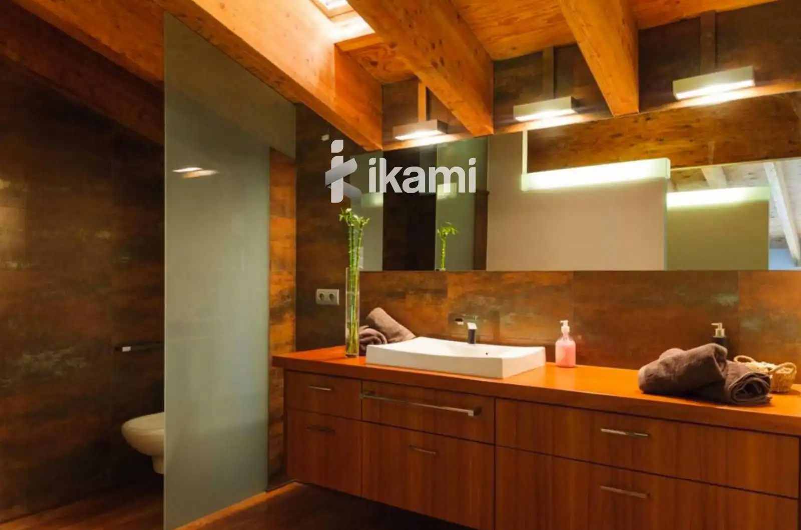 Baño de Casa o chalet en venta en Sant Miquel de Campmajor con Aire acondicionado, Terraza y Trastero
