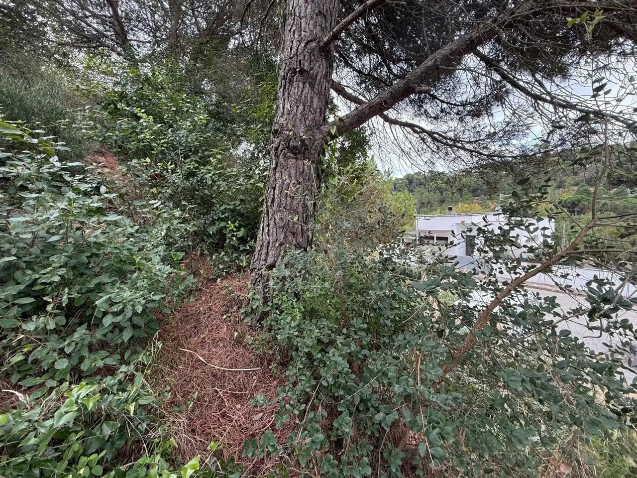 Terrenos y solares en venta en Lloret Residencial - Montlloret, imagen 8