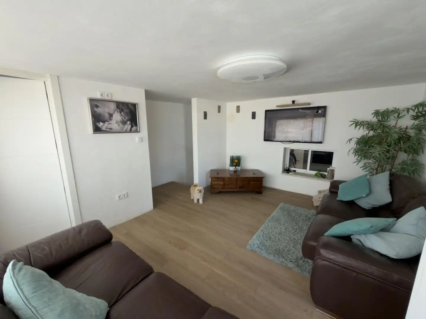 Sala d'estar de Casa o xalet en venda en Los Montesinos amb Aire condicionat, Calefacció i Jardí privat