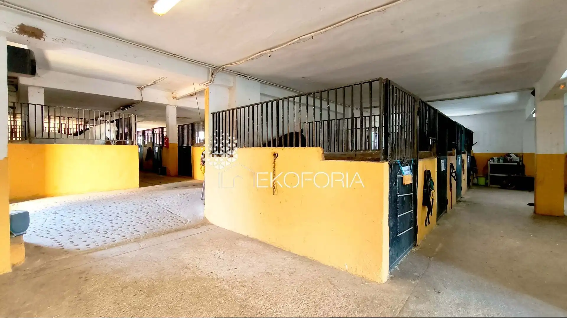 House for sale in Riba-roja de Túria, imagen 22