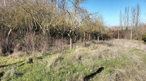 Foto 4 de Residencial en venda a Eras del Yeson . Polígono, Villatoro, Burgos
