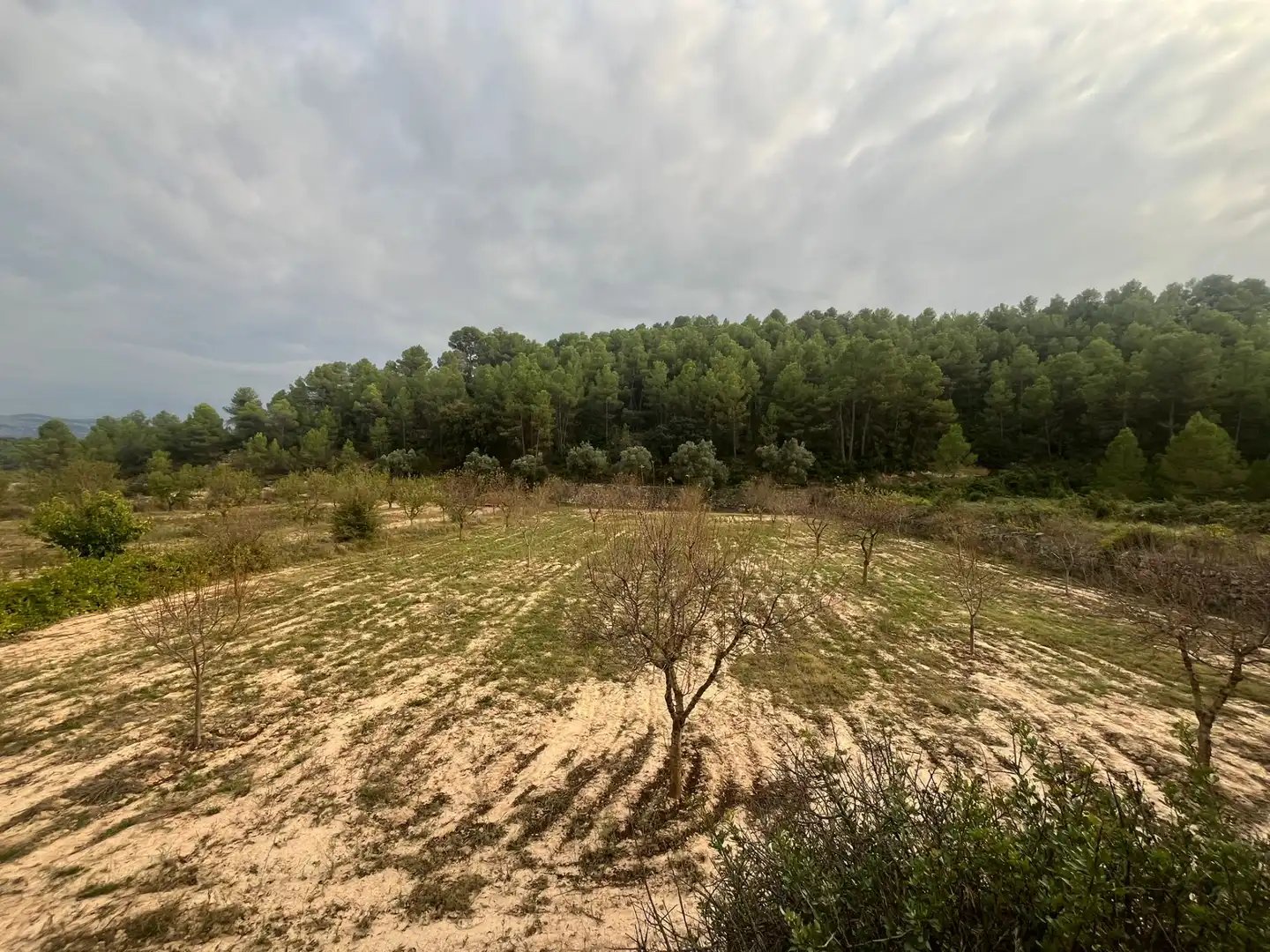 Terreni e lotti in vendita a Arens de Lledó, imagen 2