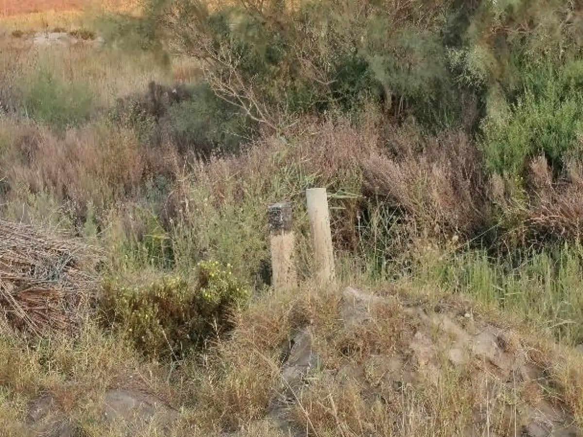Terreno rustico in vendita a Camino LOS HUERTOS, imagen 57