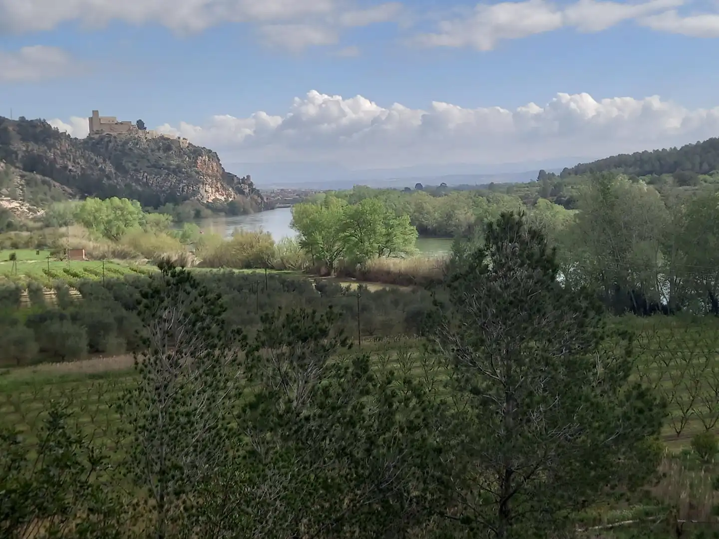 Terreny rústic en venda a Miravet, imagen 38