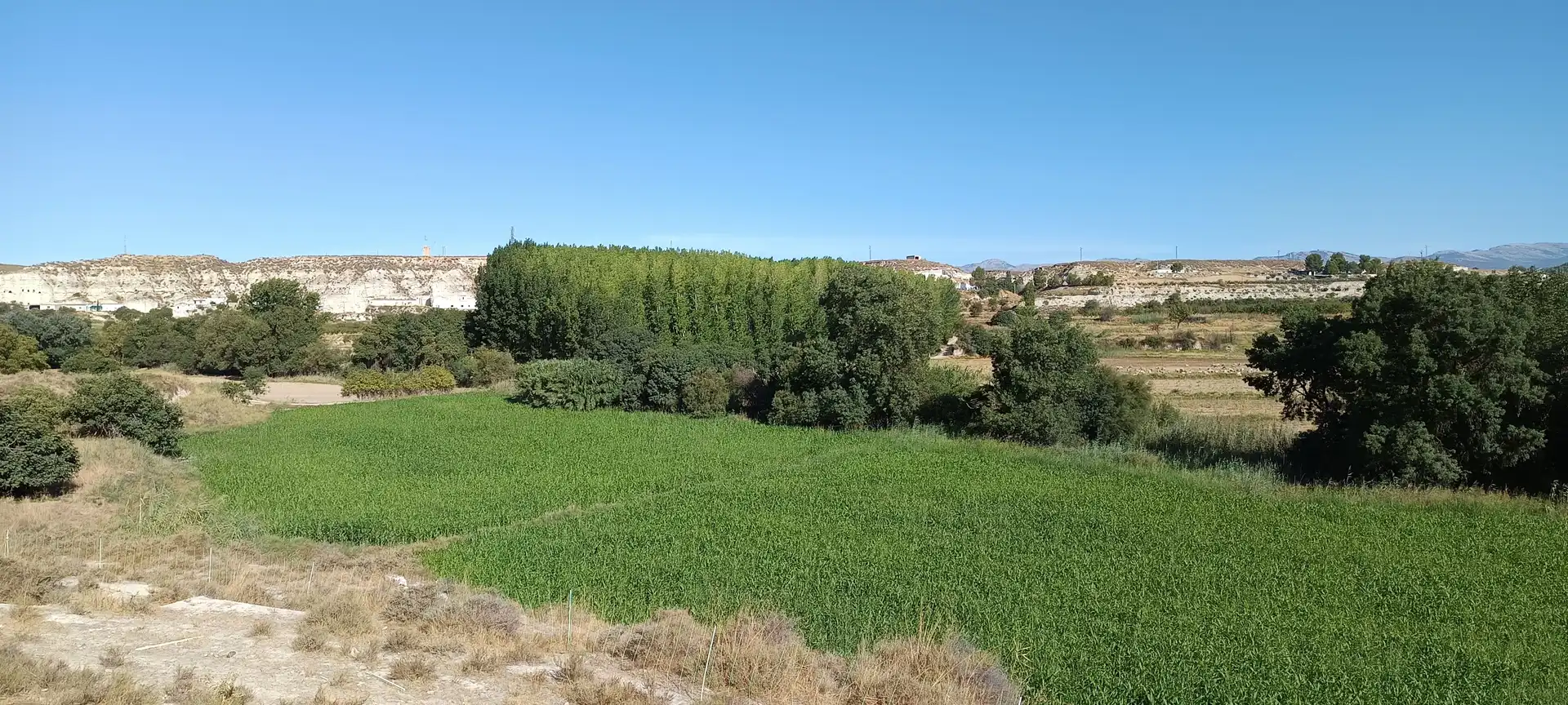 Country house for sale in Polígono B BAJO, imagen 14