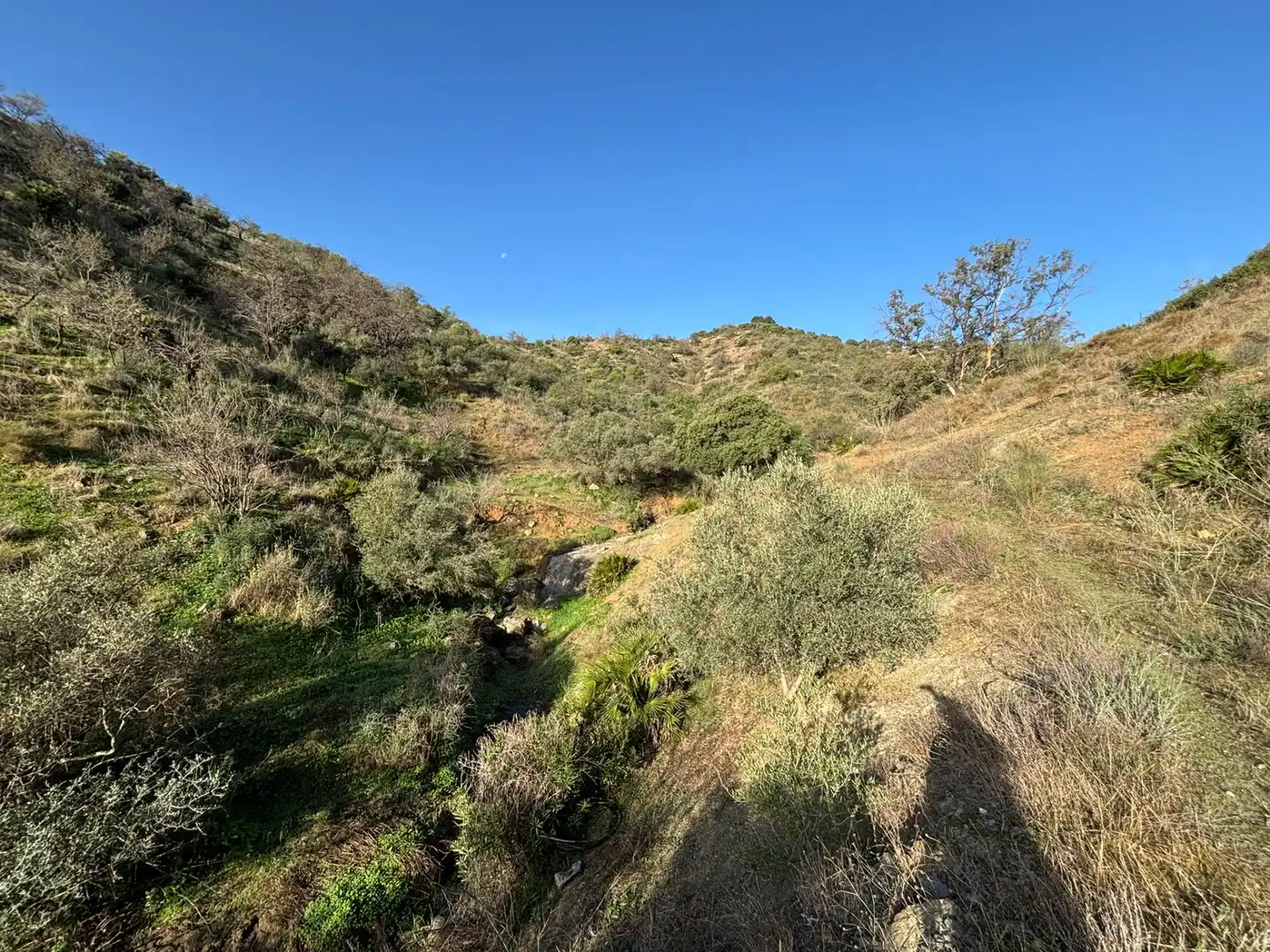 Terreno en venta en Cártama