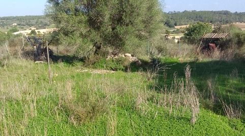 Terreno rustico una preciocidsd
