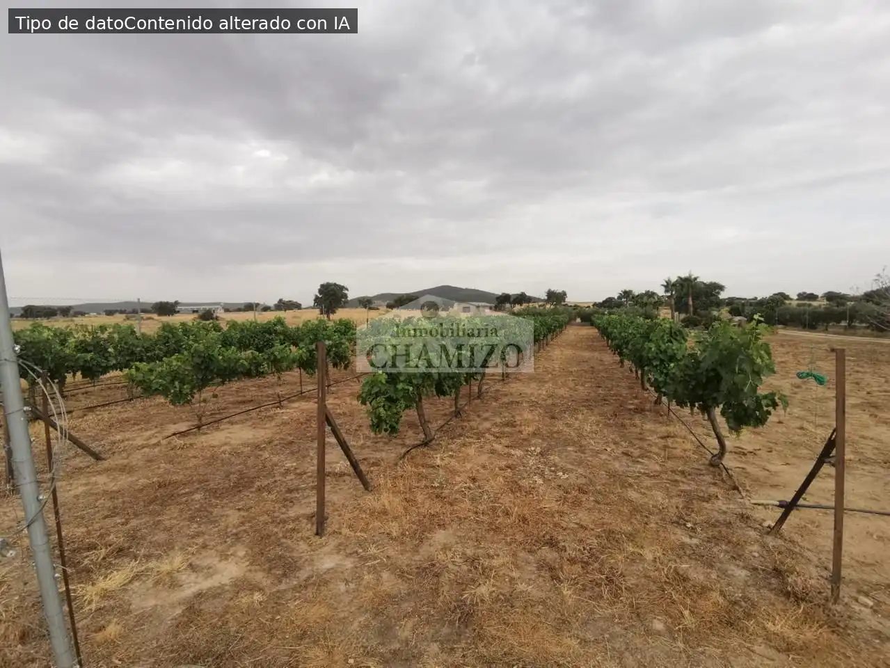 Casa o chalet en venta en Campanario con Jardín privado, Trastero y Piscina