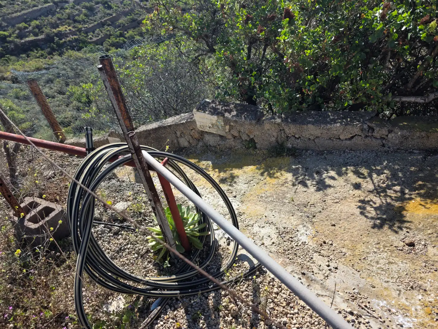 Garten von Grundstücke zum Verkauf in Güímar