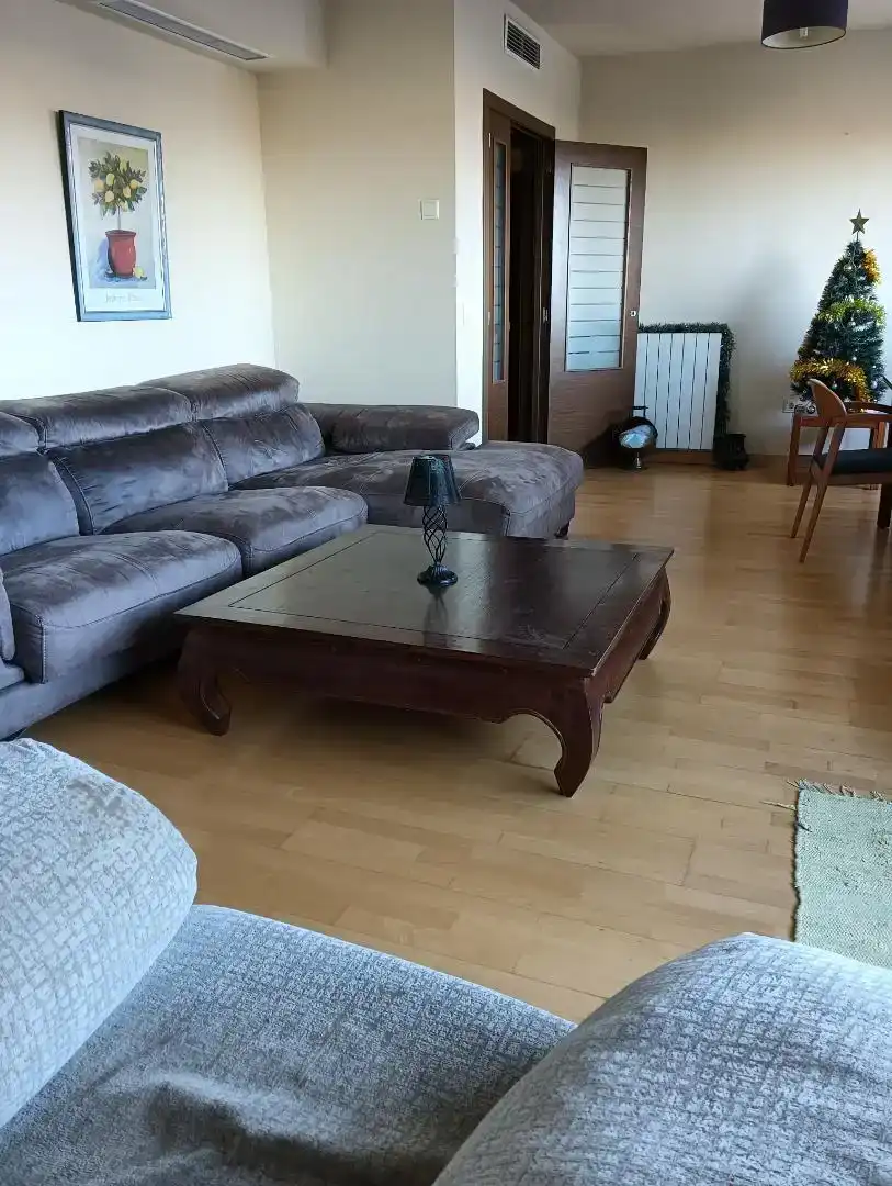 Sala d'estar de Pis per a compartir en Valencia amb Parquet, Moblat i Forn
