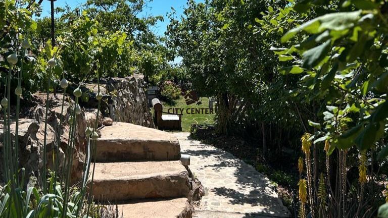 Garden of Country house for sale in Granadilla de Abona  with Private garden, Terrace and Swimming Pool
