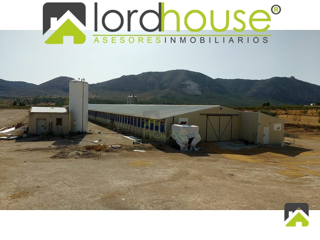 Nau industrial en venda en Lorca