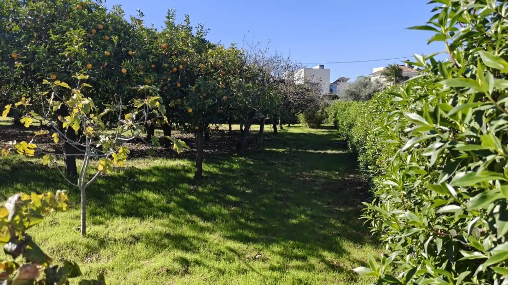 Casa o chalet en venta en Espartinas con Calefacción