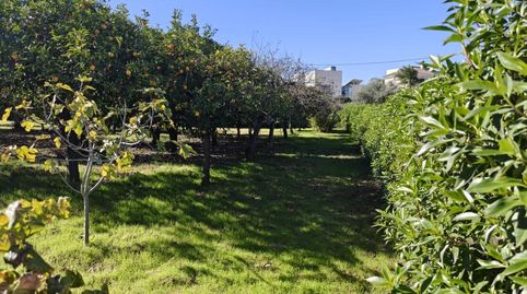 Photo 3 of Houses for sale in Urbanización Los Barreros, Espartinas Pueblo, Espartinas