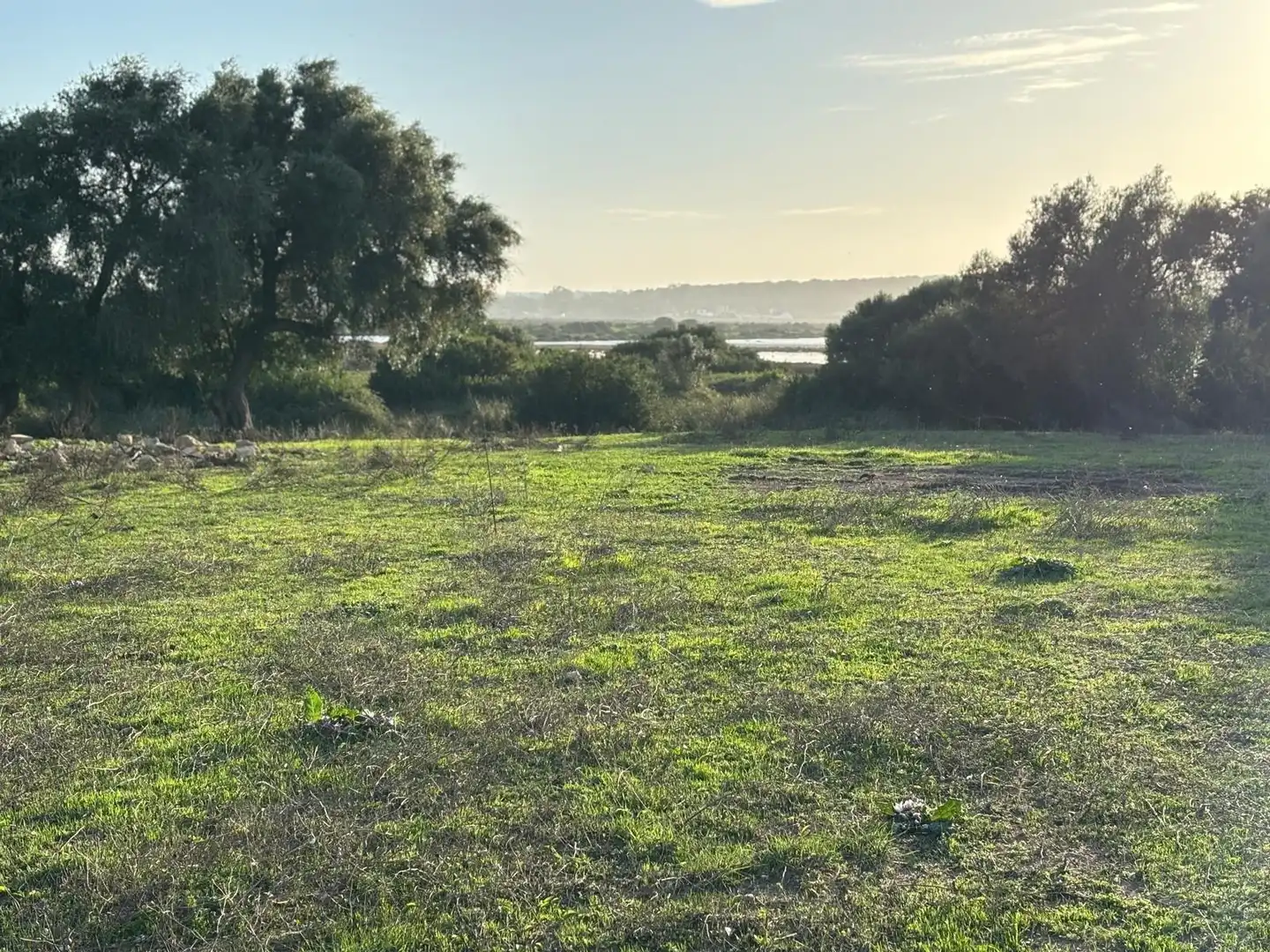 Terreni e lotti in vendita a Vejer, imagen 25