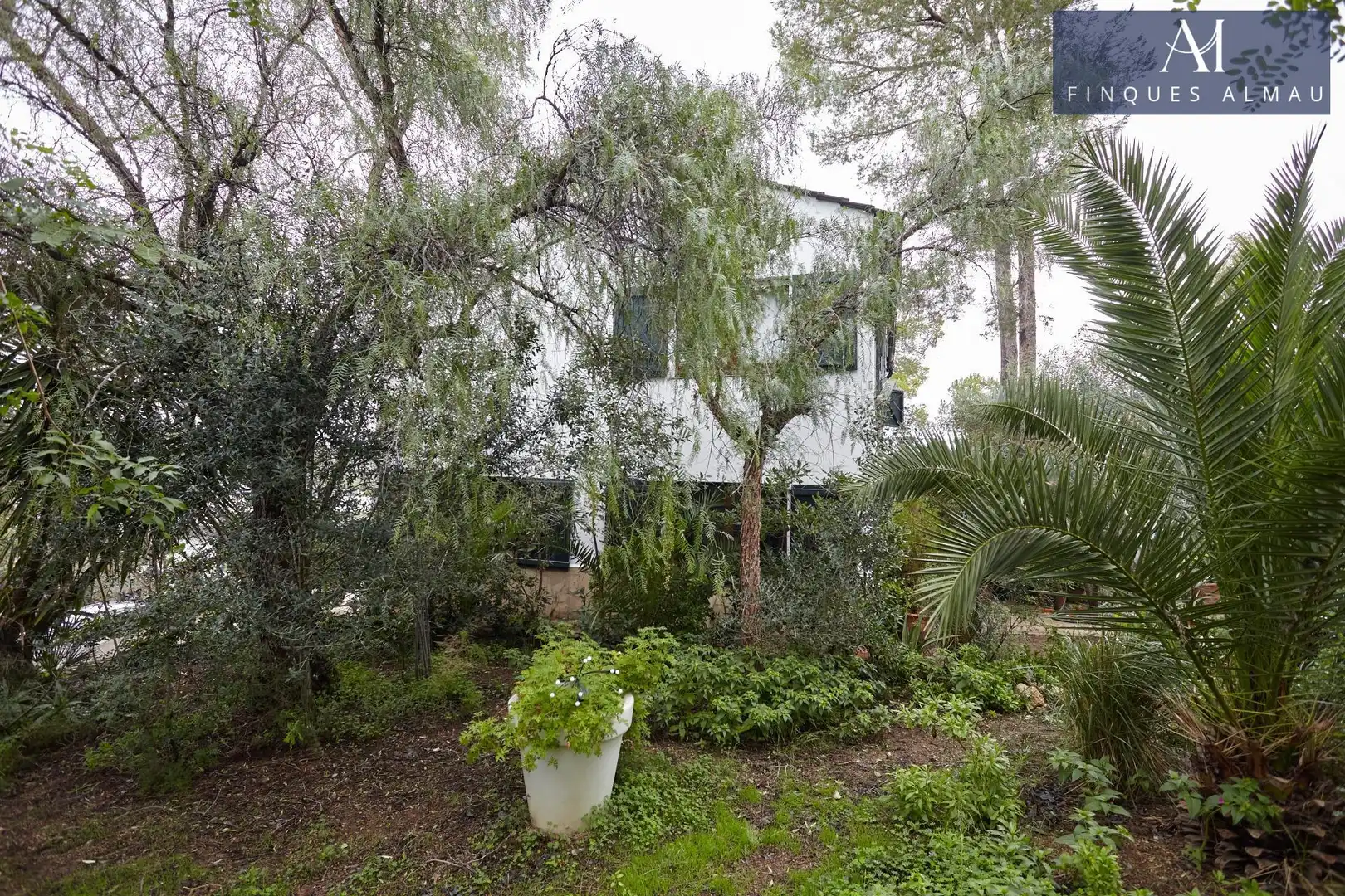 Vista exterior de Casa o chalet en venta en Sant Pere de Ribes con Calefacción, Jardín privado y Trastero