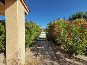 Villa con piscina in vendita a Calle Sector Pp Talle 52, imagen 29