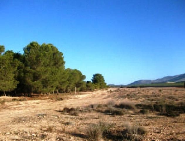 Finca rústica en venda en Aledo