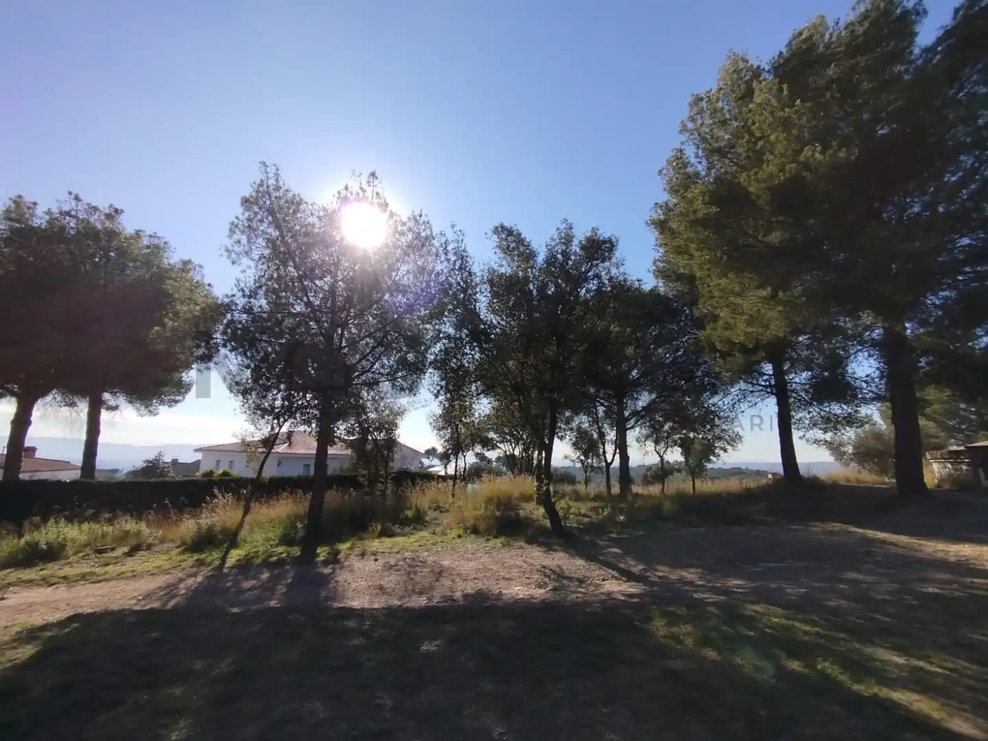 Terrenys i solars en venda a VILA DE VALL, imagen 6