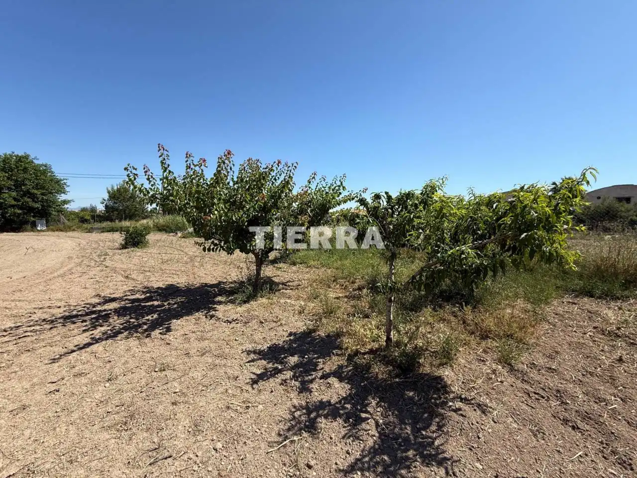 Terreny residencial en venda a Calle oriental, imagen 4