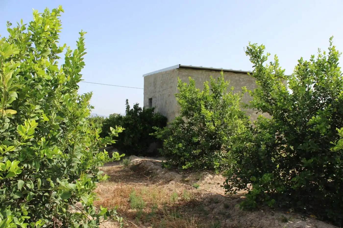 Casa o xalet en venda a Orihuela, Alicante