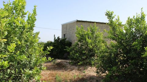 Foto 3 de Casa o xalet en venda a Molins - Campaneta - San Bartolomé, Orihuela