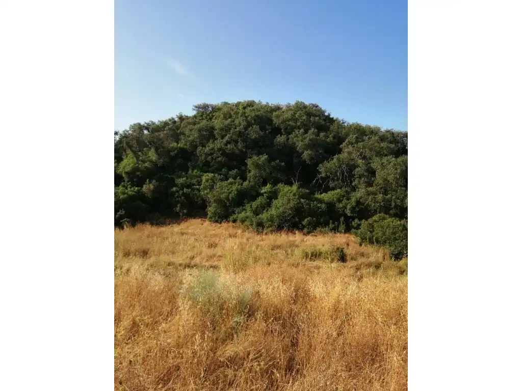 Residential for sale in Morón de la Frontera