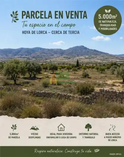 Lands and plots for sale in Pedanías Centro, imagen 7