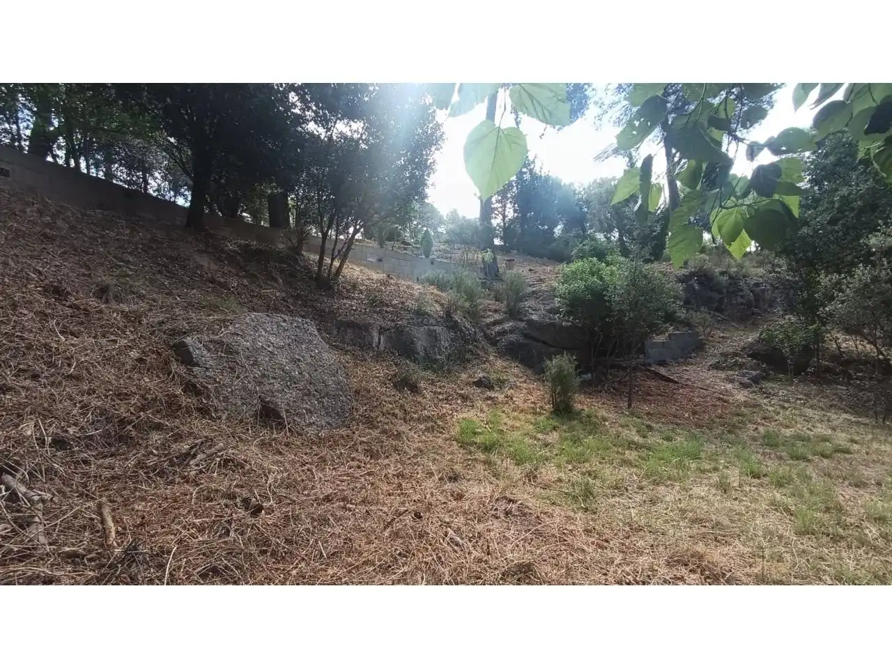 Rural land for sale in Vacarisses, imagen 14