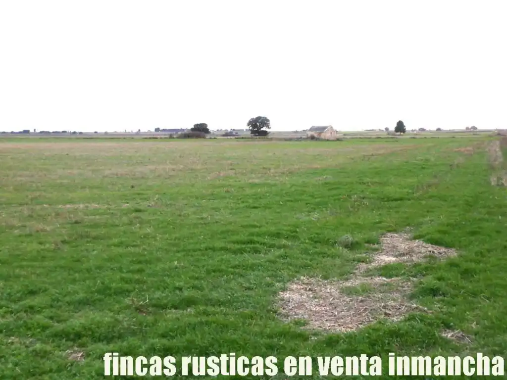 Terreno rústico en venta en Daimiel, imagen 9
