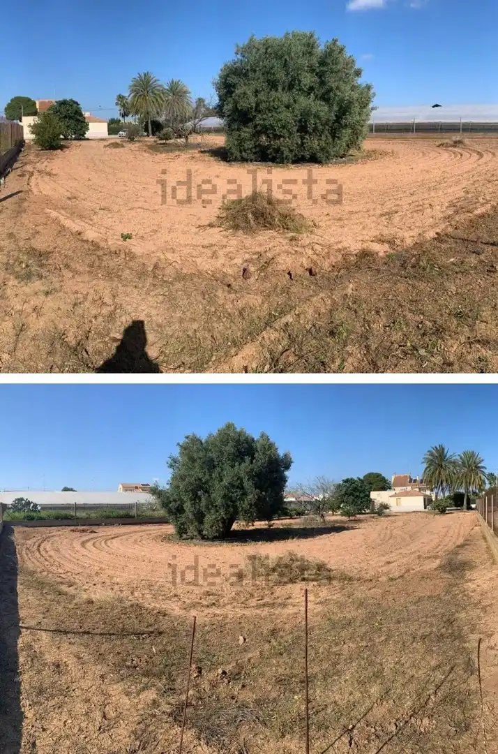 Finca rústica en venta en San Javier con Jardín privado