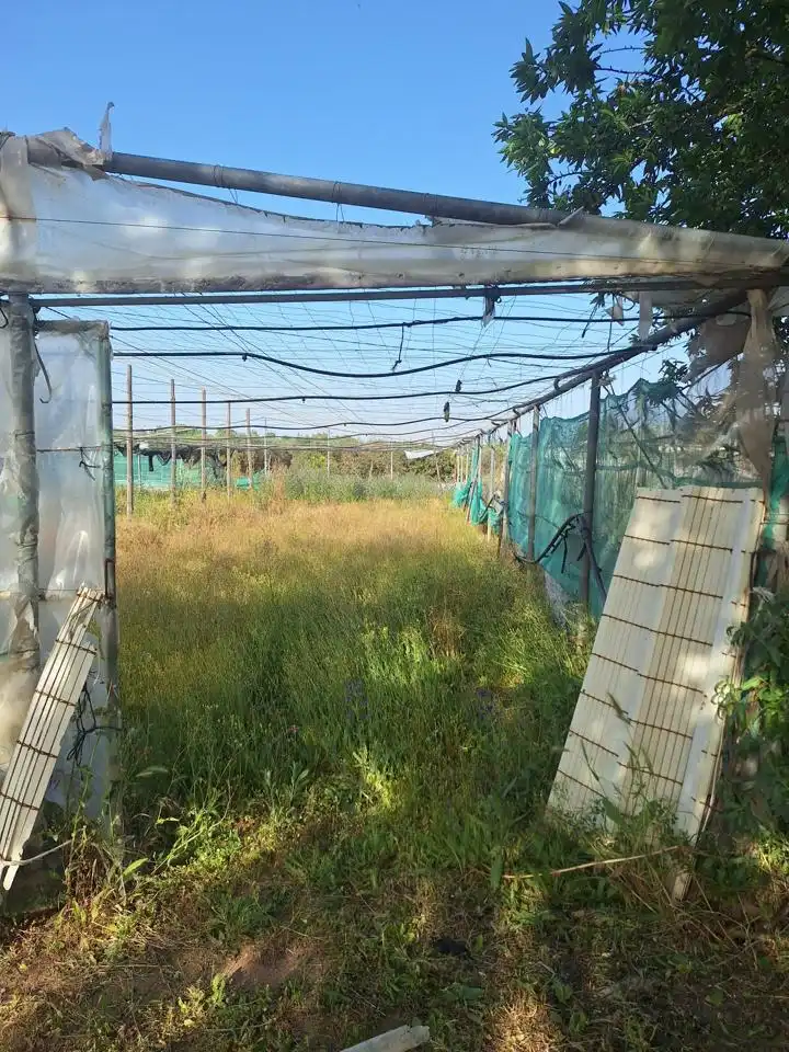 Terreni e lotti in vendita a Pedanías Norte, imagen 16