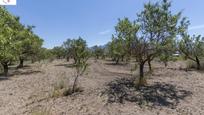 Land for sale in  Granada Capital