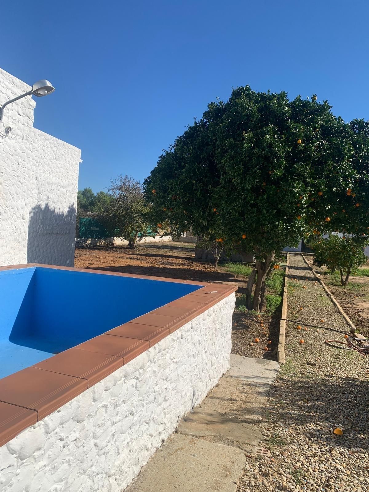Piscina de Finca rústica en venda en Chiclana de la Frontera