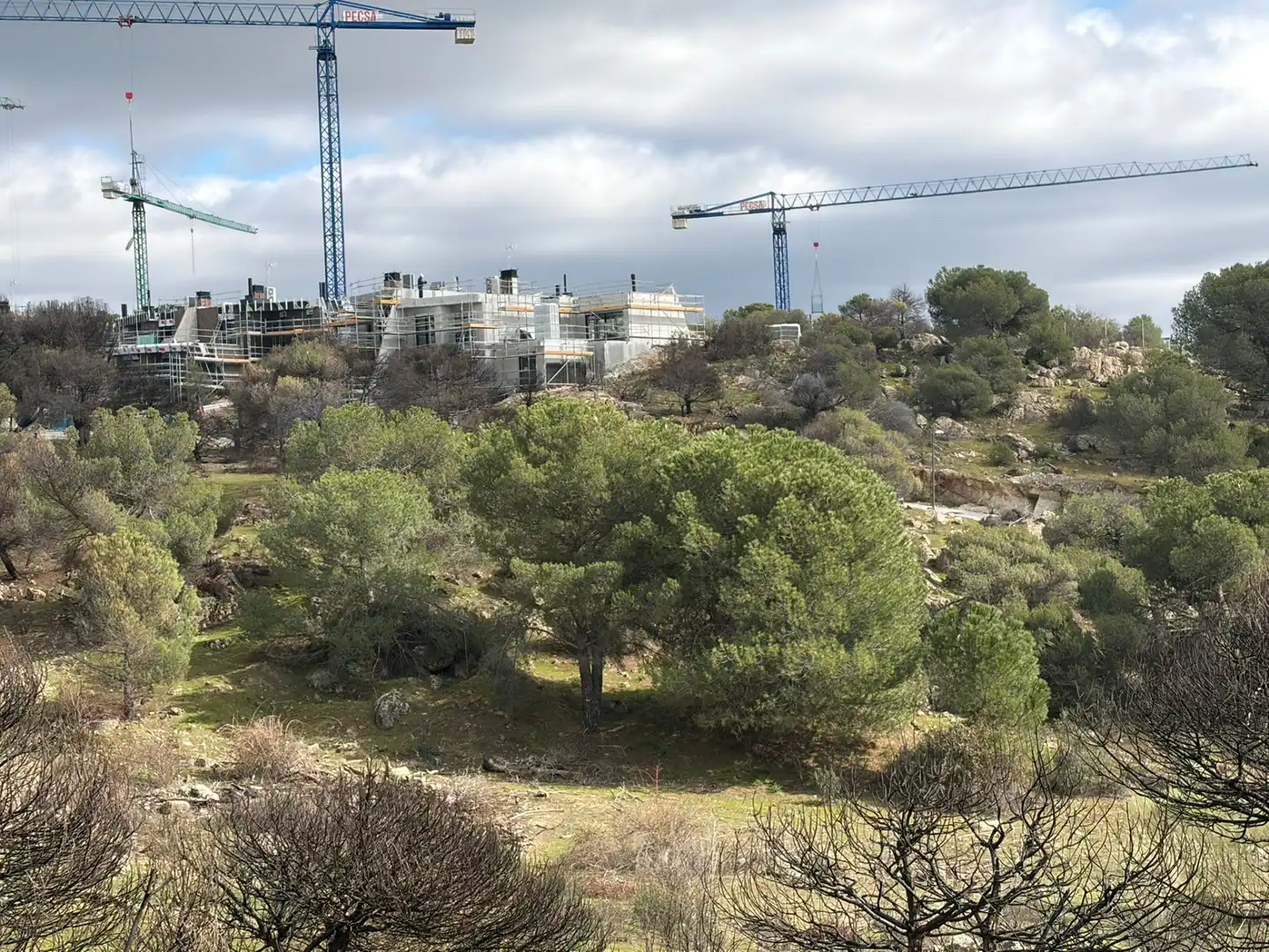 Wohnbaugrundstück zum Verkauf in Las Marías, imagen 6