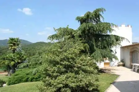 Jardí de Finca rústica en venda en Riudarenes amb Aire condicionat, Calefacció i Jardí privat