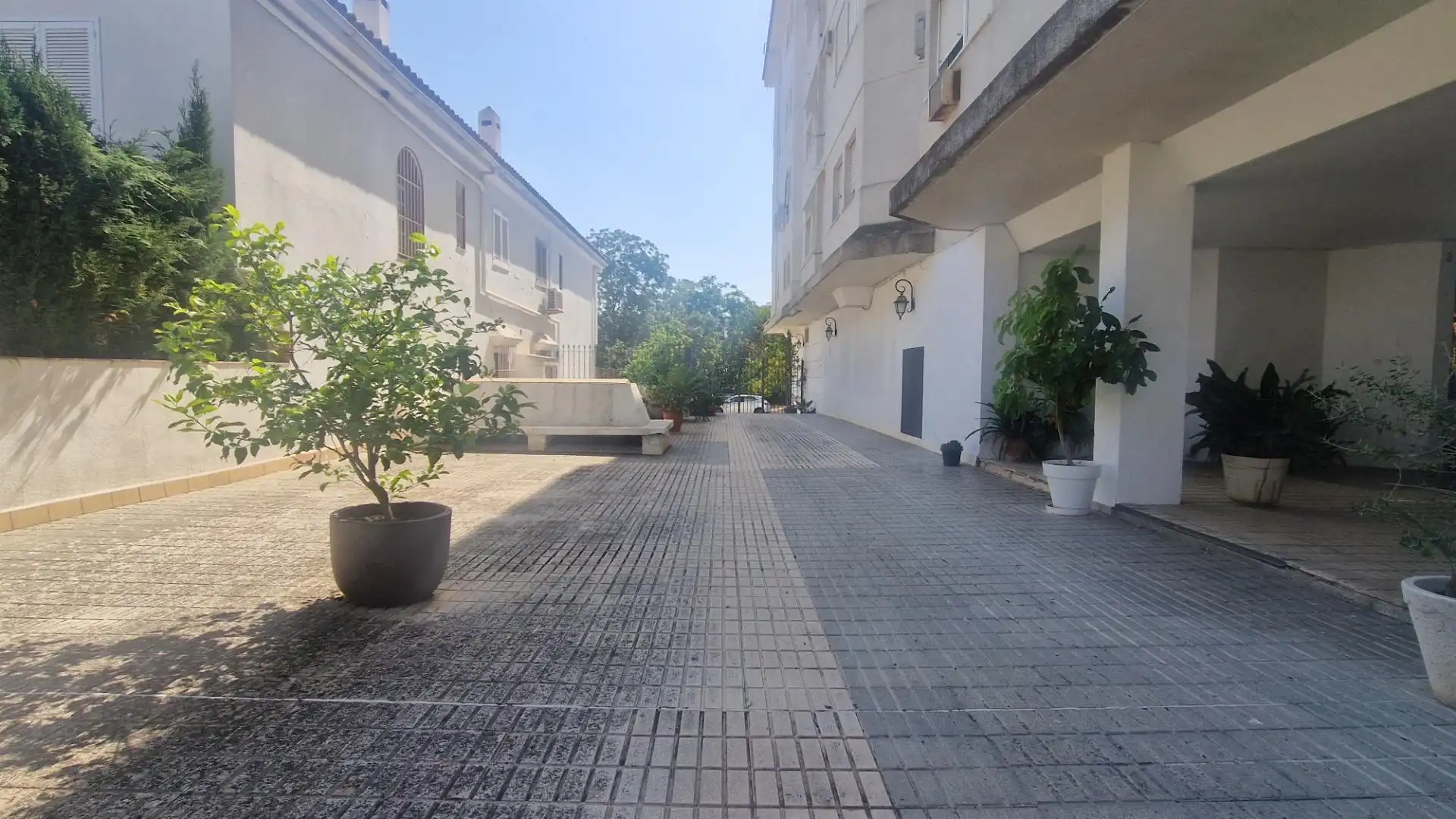 Mini appartamento con ascensore in affitto a Jerez norte - Montealto - Pozoalbero, imagen 19