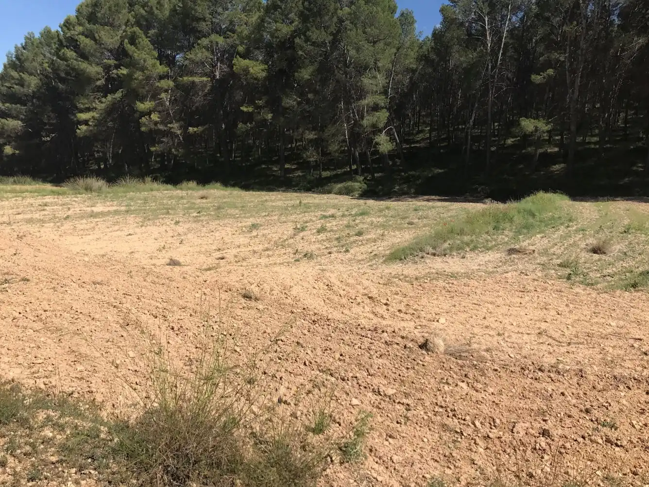 Terreny rústic en venda a Caravaca de la Cruz, imagen 5