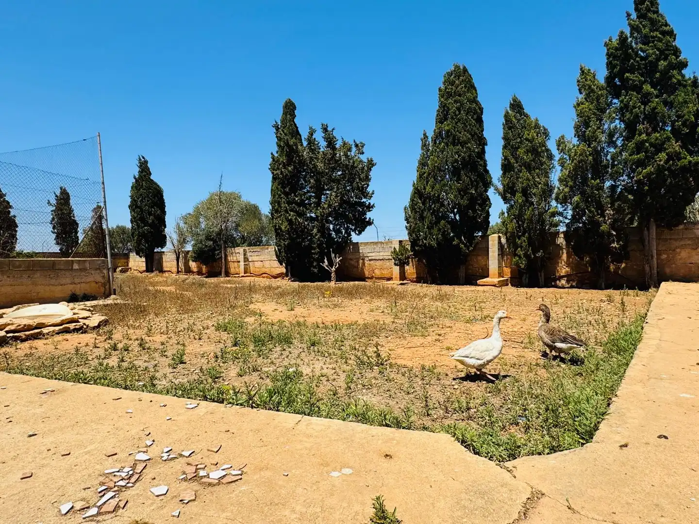 Finca rústica en venta en Carretera Llucmajor, El Coll d'en Rabassa