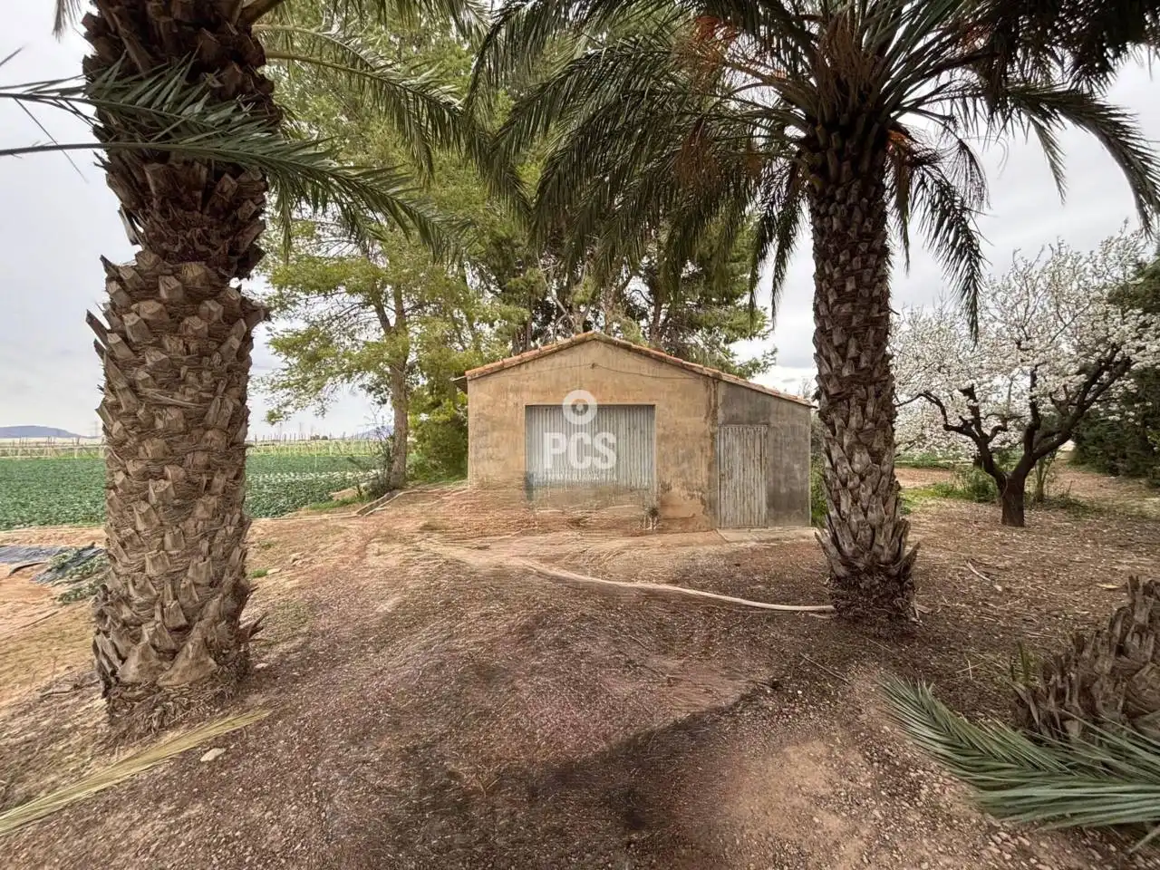 Detached house for sale in Calle Zona La Barquilla S/N