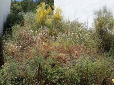 Terreni e lotti in vendita a Ubrique