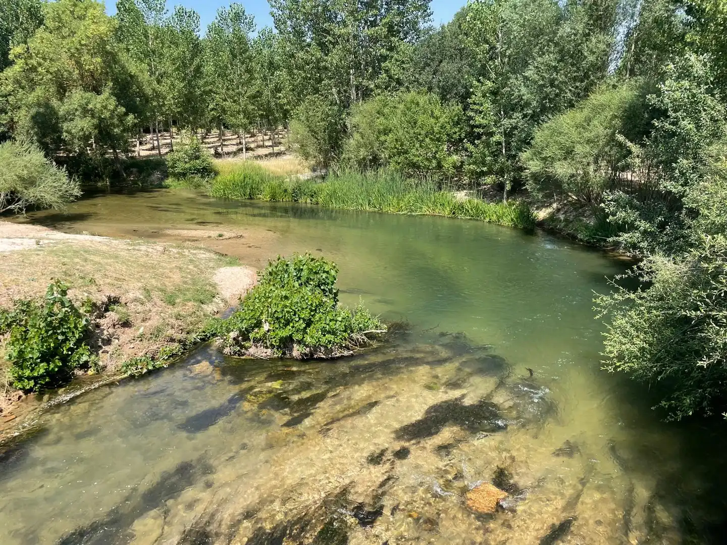 Swimming pool of Country homes for sale in Cobos de Fuentidueña  with Heating, Storage room and Furnished