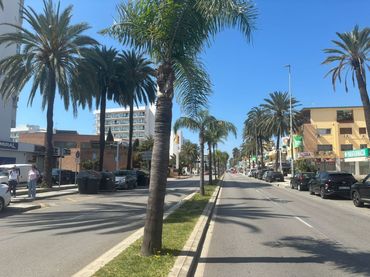 Business premises to rent in Solymar