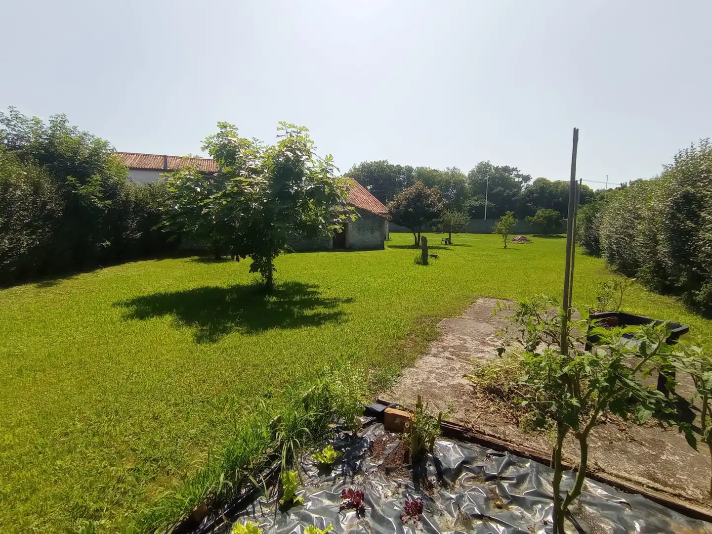 Buildings for sale in Alfoz de Lloredo