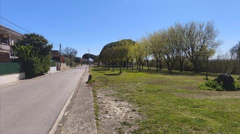 Foto 2 de Planta baixa en venda a Empordà (edificio Torre Canigó), Sant Pere Pescador, Girona