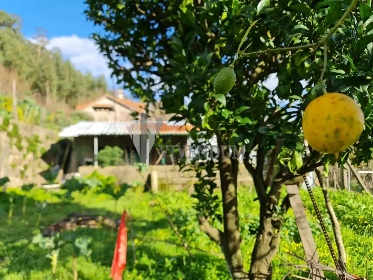 Terreno residenziale in vendita a A Cañiza, imagen 9
