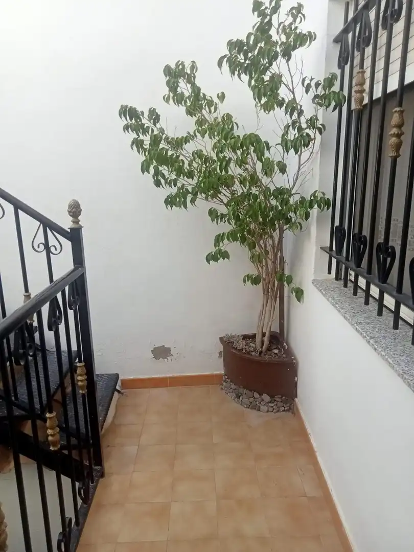 Adossat amb jardí en venda a Monóvar  / Monòver, imagen 30
