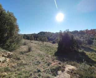 Land for sale in La Fresneda