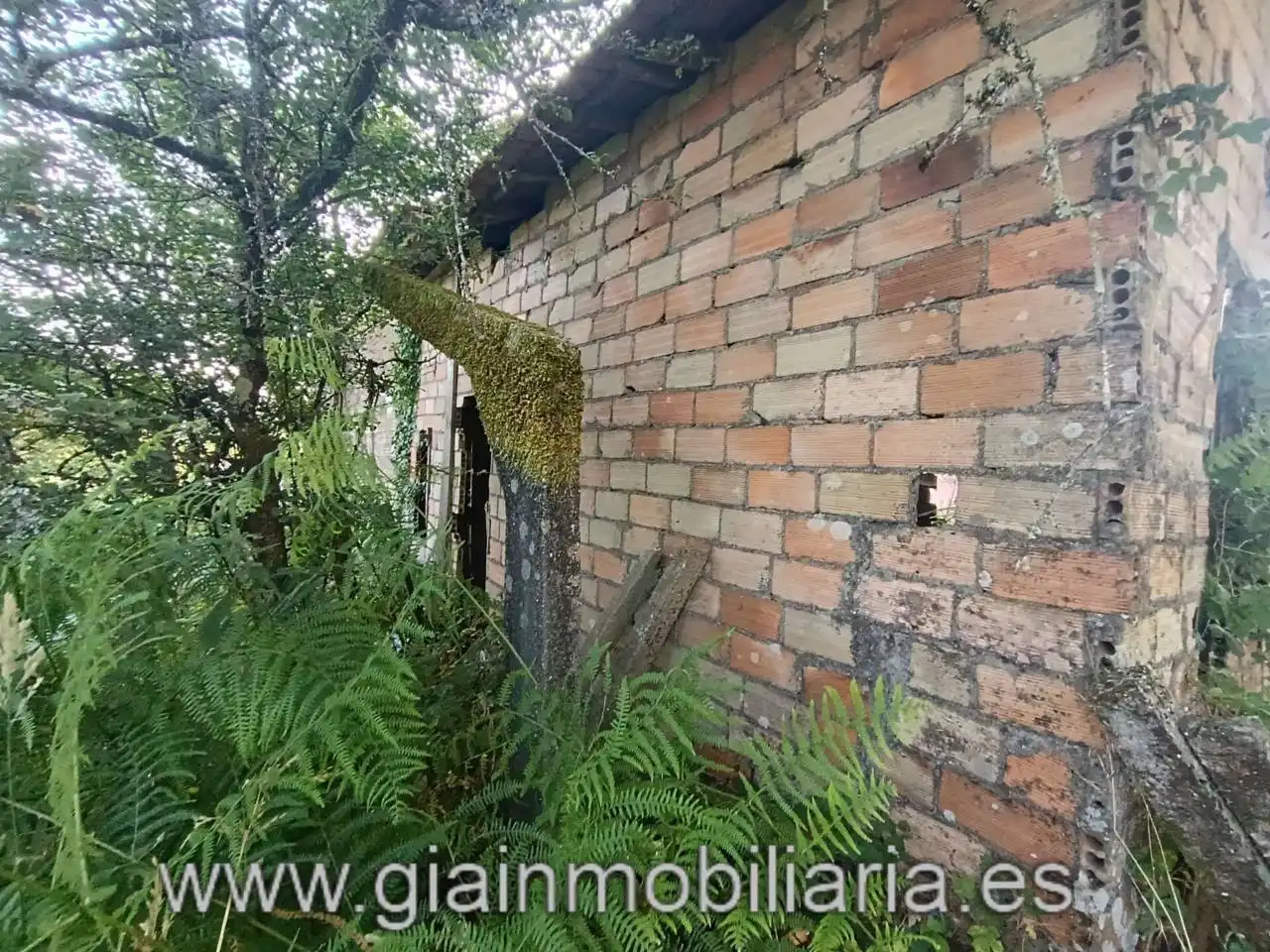 Casa en venta en Calle Ceo, imagen 21