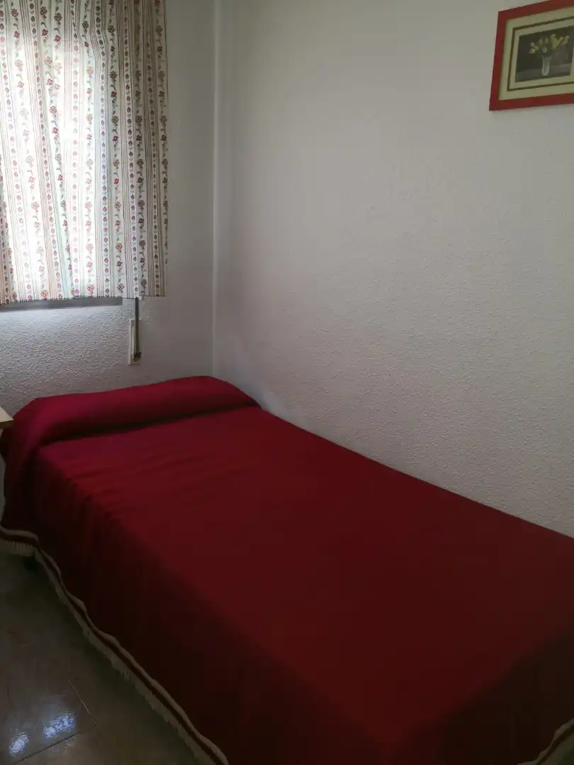 Flat for rent in Palomarejos